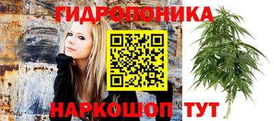 молекула духа Можайск