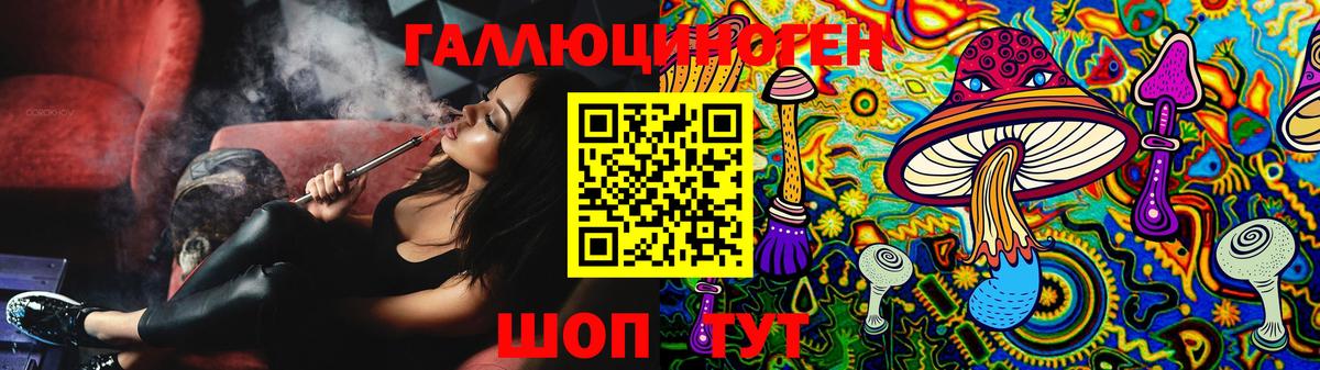 Псилоцибиновые грибы GOLDEN TEACHER Будённовск